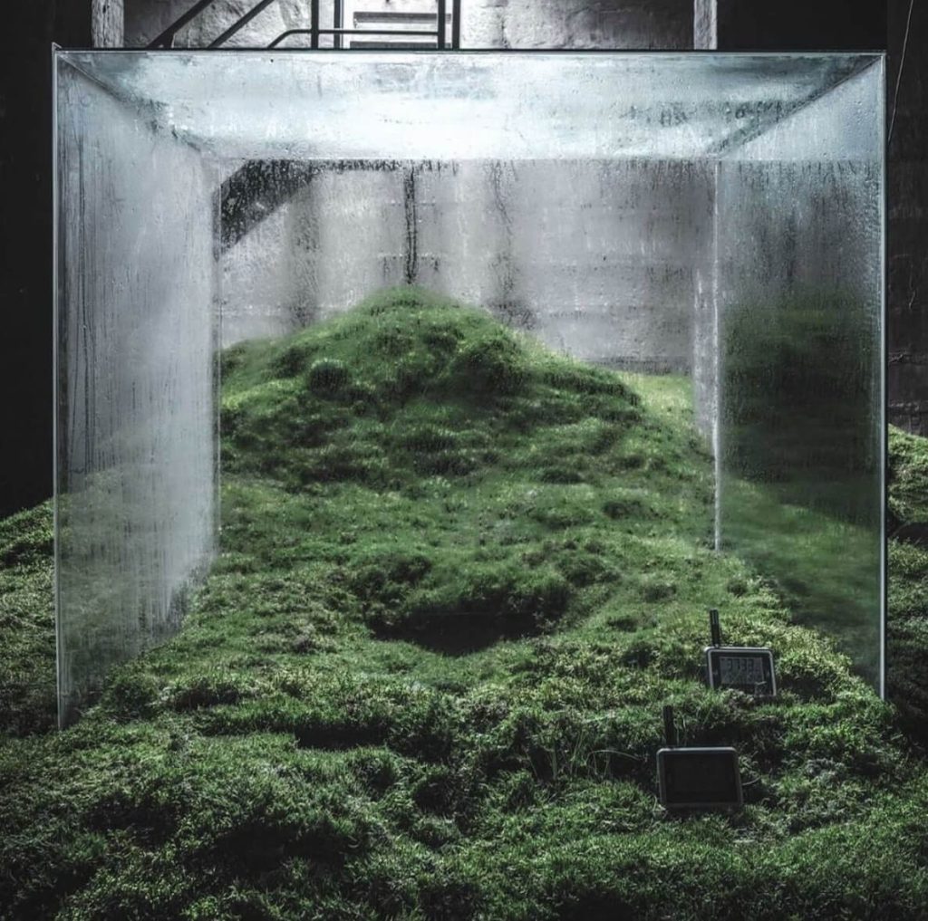 Unire il lusso con l'impegno sociale